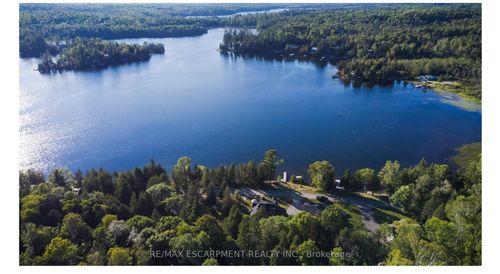 372 Gunter Lake Rd, Gilmour, ON, K0L1W0 | Card Image