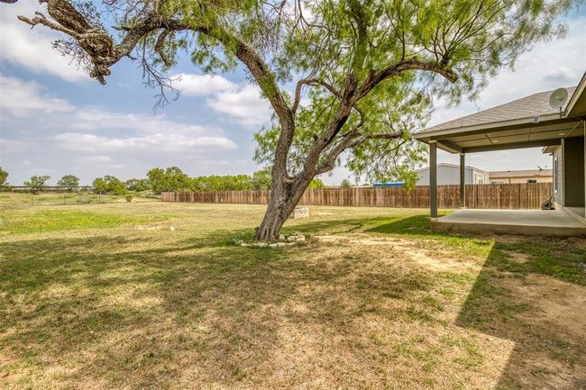 View of back yard with nice large tree providing shade | Image 26