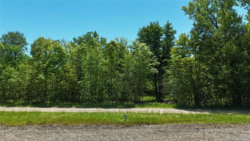 0 Williams Rd, Gaines, MI, 48436 | Card Image