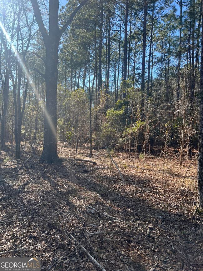 2734 Empire Chester Hwy, Home with 0 bedrooms, 0 bathrooms and null parking in cochran GA | Image 6