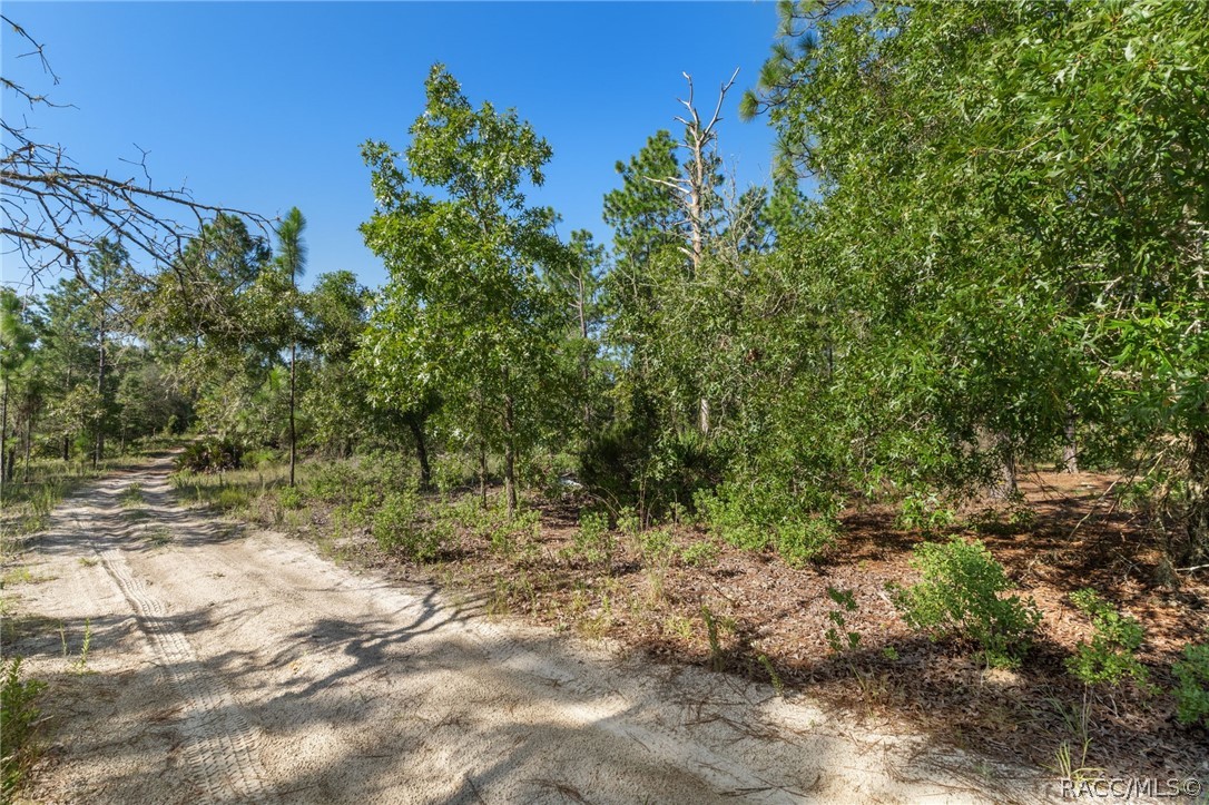 Land in Dunnellon 3