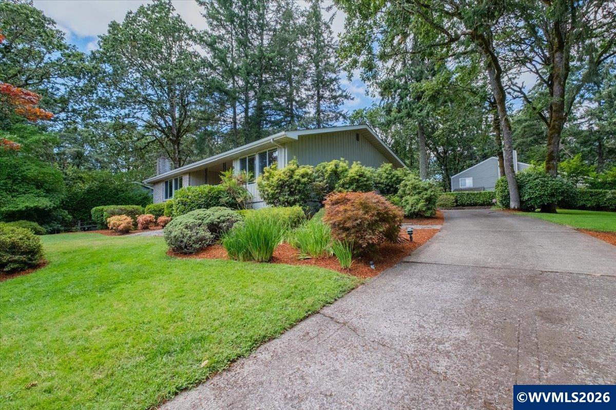 Residential in Albany 4