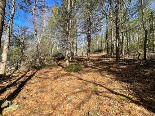 50 Pine Rd, Colebrook, CT, 06021-3720 | Card Image