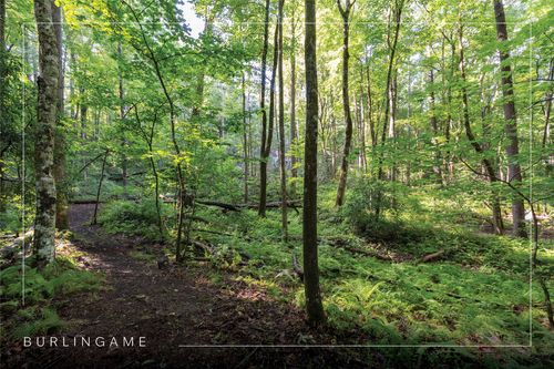 63B Big Pine Rd, Sapphire, NC, 28774-9579 | Card Image