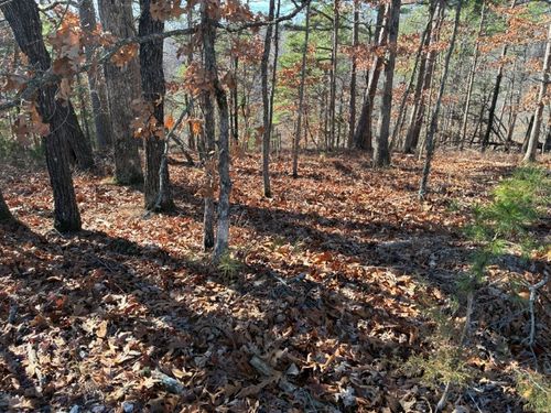 160 Tanglewood Road, Rogers, AR, 72756 | Card Image