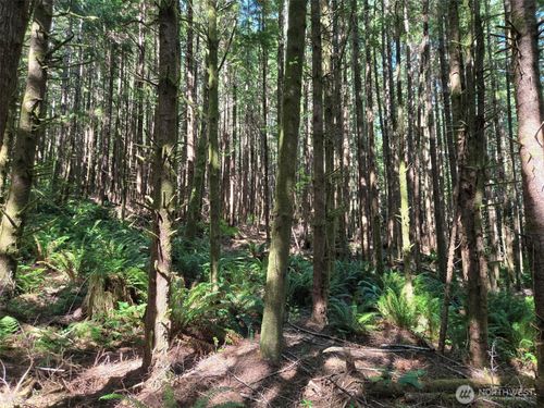0 NKA Bi Pass Rd, Hoquiam, WA, 98550 | Card Image