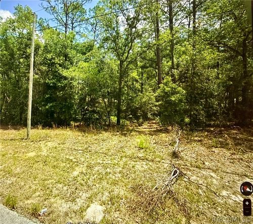 11303 N Schult Terrace, Citrus Springs, FL, 34434 | Card Image