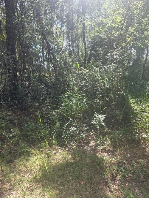 TBD Se 136th Ln, BELLEVIEW, FL, 34420 | Card Image