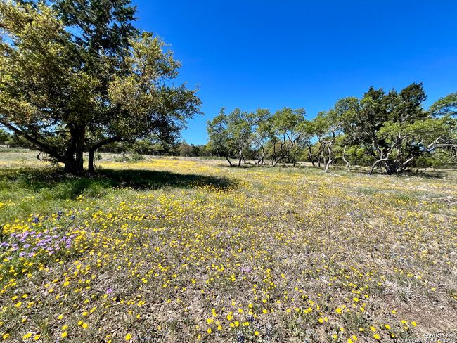 163 Northridge Dr W, House other with 2 bedrooms, 3 bathrooms and null parking in Mountain Home TX | Image 30