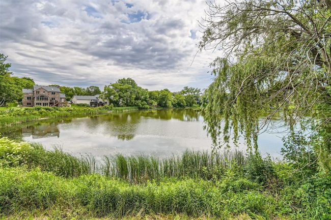 Peaceful Pond | Image 29