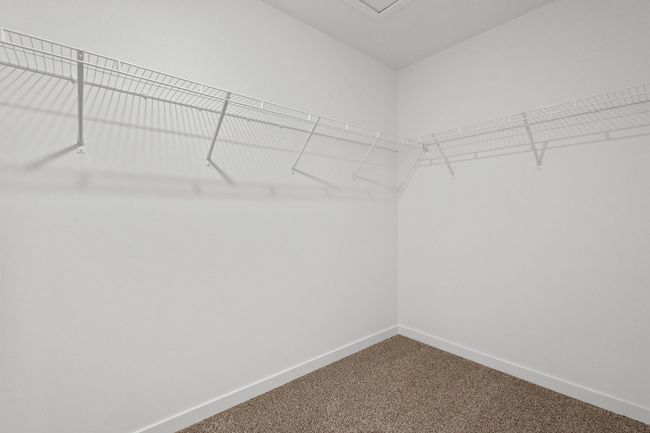 Henley white 18 | Image 38