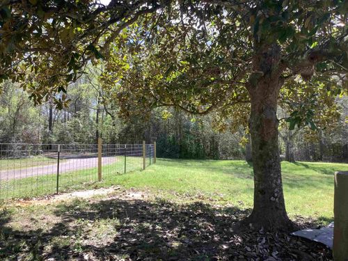 894 Cr 144, Jasper, TX, 75951 | Card Image