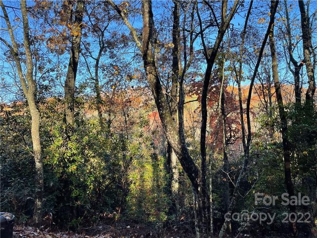 4 - 9999 Sassafras Ln, Home with 0 bedrooms, 0 bathrooms and null parking in Cedar Mountain NC | Image 17