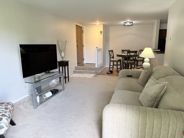 Residential in Naperville 4