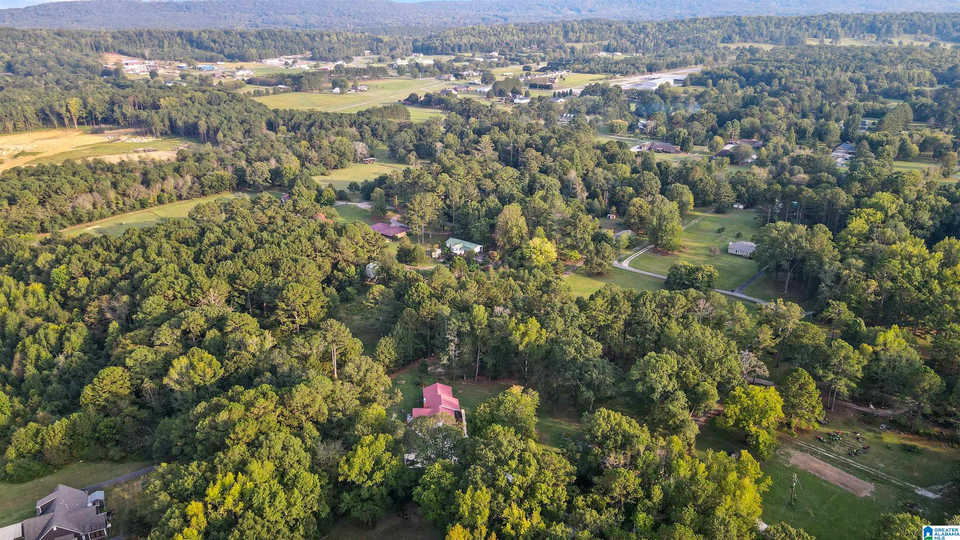 Happy Hollow Rd, Odenville, AL 35120