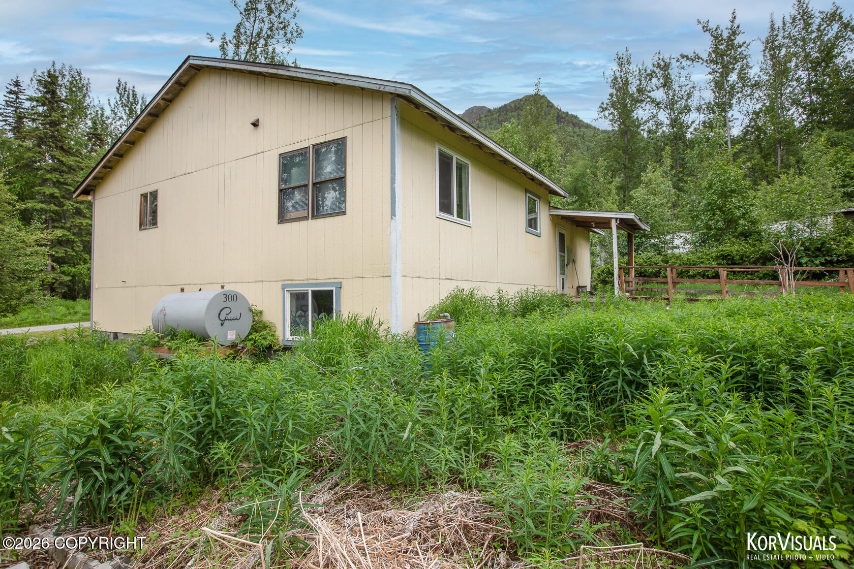 Residential in Palmer 3