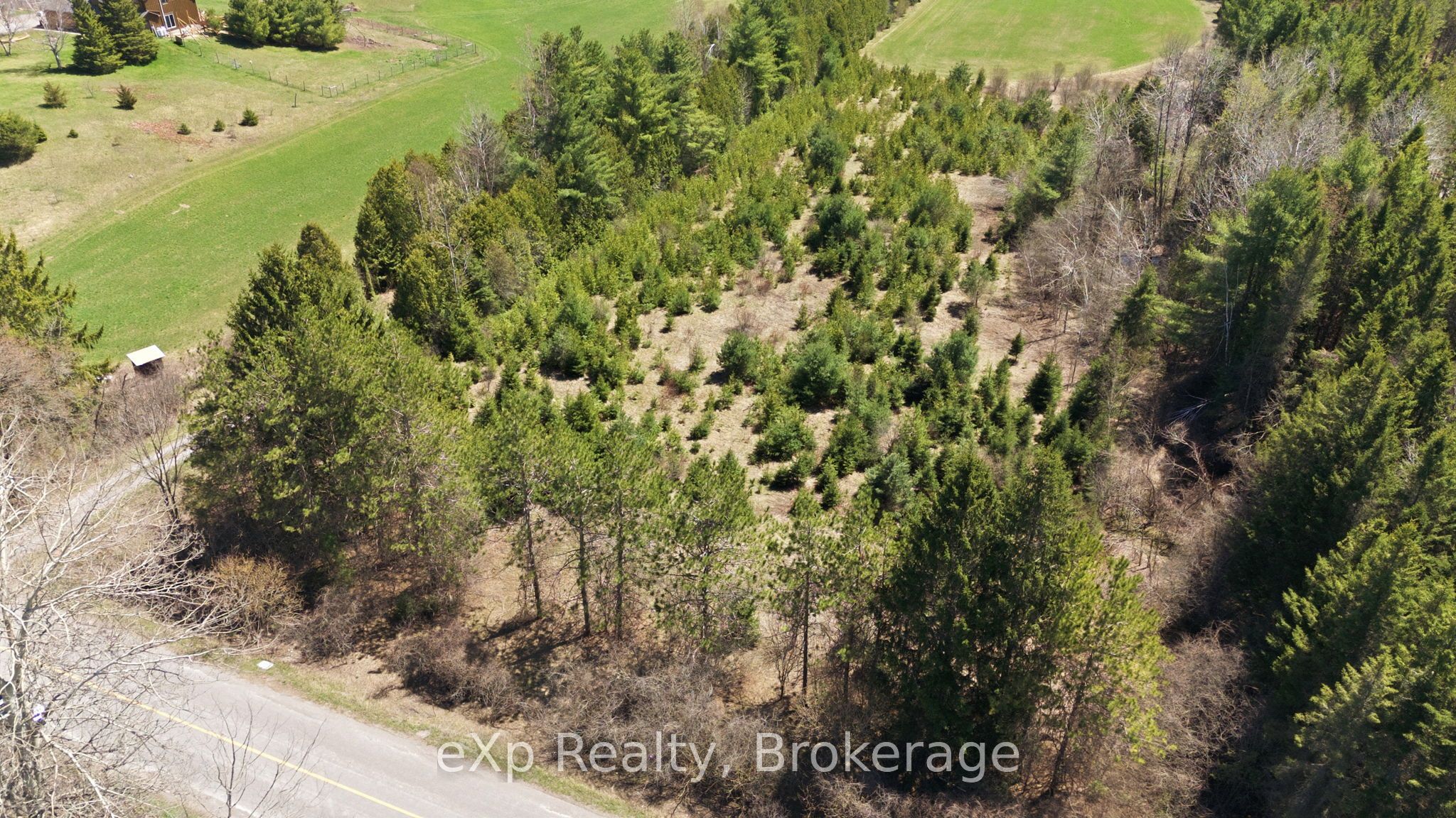 Residential in Alnwick/Haldimand 3