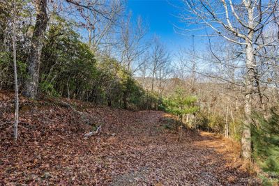 69 & 81 Winter Moon Ridge, Home with 0 bedrooms, 0 bathrooms and null parking in Sylva NC | Image 1