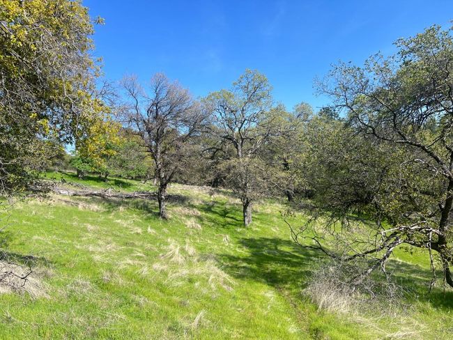 18907 Shake Ridge Rd, Home with 0 bedrooms, 0 bathrooms and null parking in Sutter Creek CA | Image 4