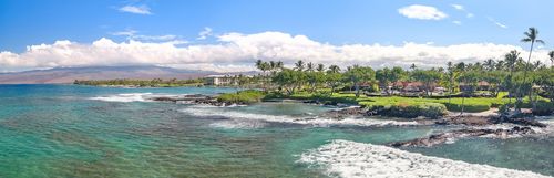 68-1023 Pauoa Way, KAMUELA, HI, 96743-7712 | Card Image