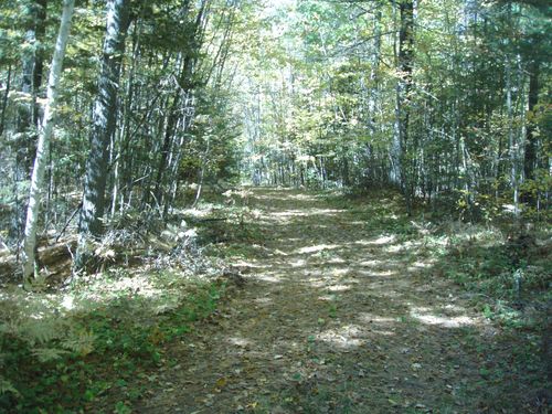 40-a-Off Brimstein Rd, Park Falls, WI, 54552 | Card Image