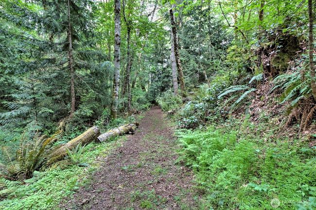 Easy beach access trail. Private trail shared with three neighbors. Will provide access to the property waterfront as well. | Image 31