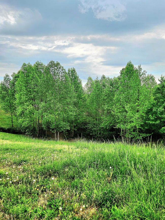 0 Sunset Cir, Home with 0 bedrooms, 0 bathrooms and null parking in Jasper TN | Image 6