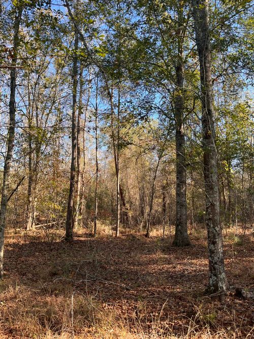 000 Trecer Rd, Cope, SC, 29038 | Card Image