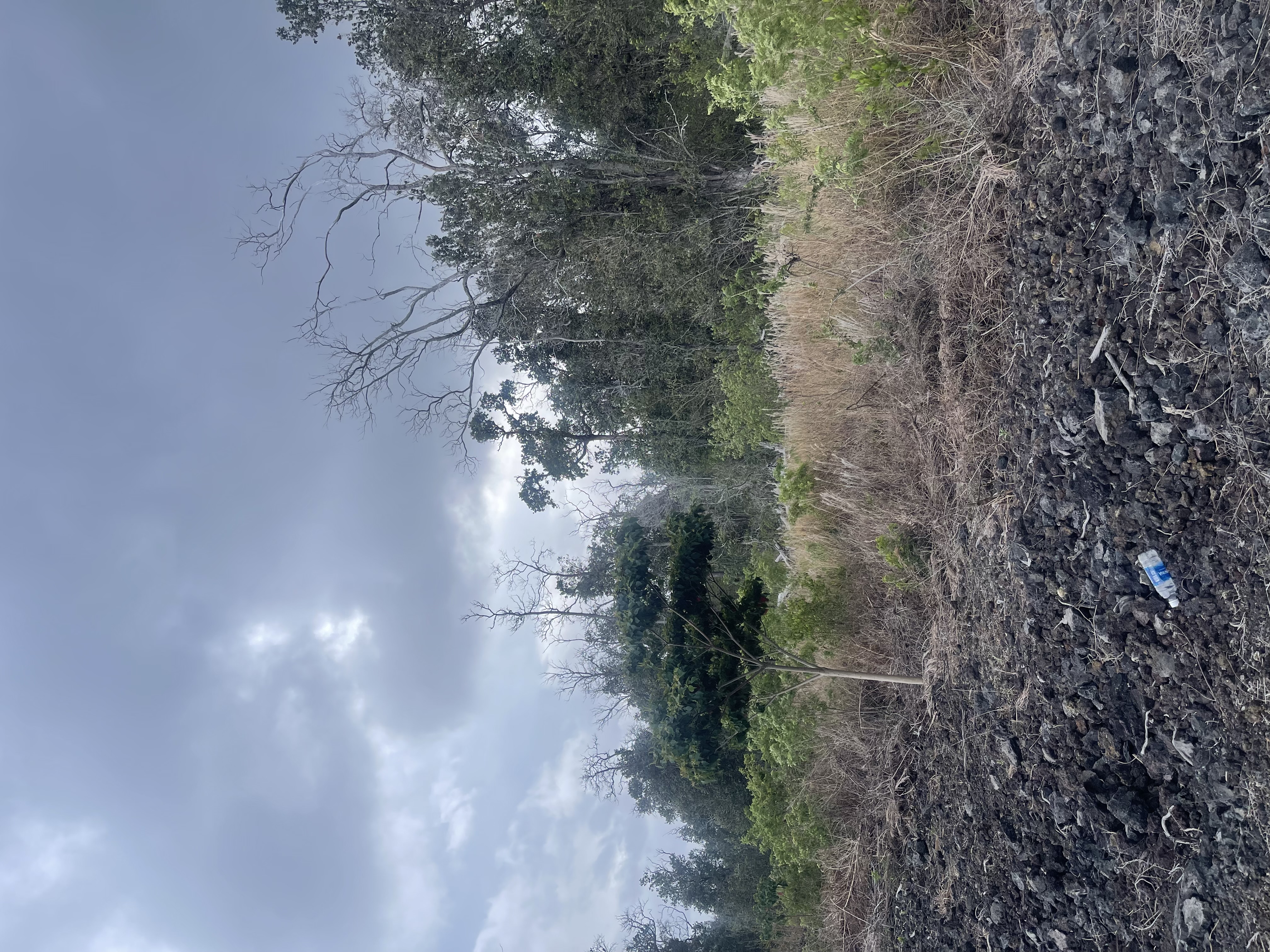 Land in Ocean View