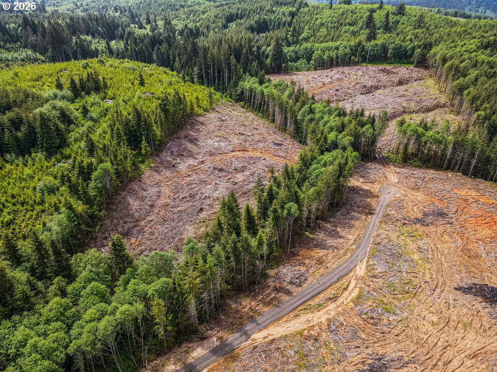 Land in Longview 4