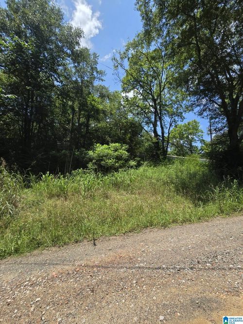 na-39 Thomas Rd, Cordova, AL, 35550-3253 | Card Image