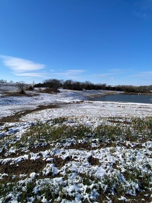 5030 Ella Ivy Ct, Van Meter, IA, 50261-8200 | Card Image