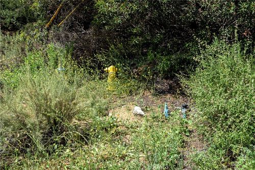 7451 Verdugo Crestline, Tujunga, CA, 91042 | Card Image