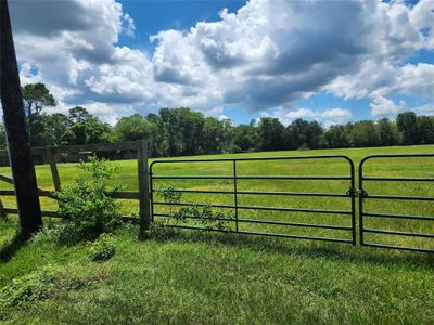 0 Old Massey Ranch Road Avenue, Home with 0 bedrooms, 0 bathrooms and null parking in Manvel TX | Image 3