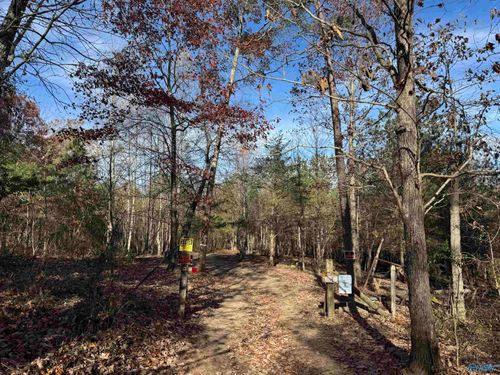 8.02 acres County Road 361, Pisgah, AL, 35765 | Card Image