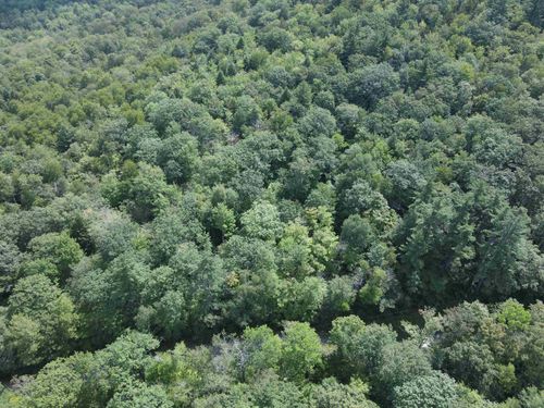 Lot 1 Old Stage Rd, Chester, VT, 05143 | Card Image