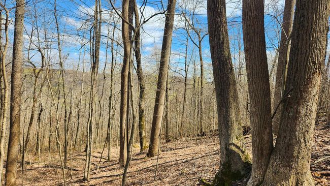 TRACT-2-PIKE-LAKE-GETAWA - 0 Pike Lake Rd, Home with 0 bedrooms, 0 bathrooms and null parking in Bainbridge OH | Image 23