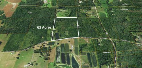 01 Fish Farm Rd, Golconda, IL, 62938-4435 | Card Image