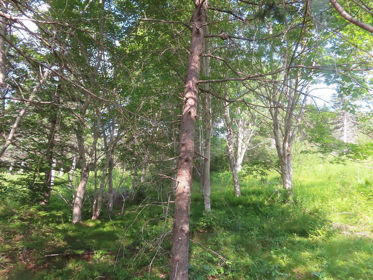 Land in Evanston 4