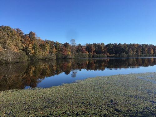 400 Summit Chas, Cedar Grove, TN, 38321 | Card Image