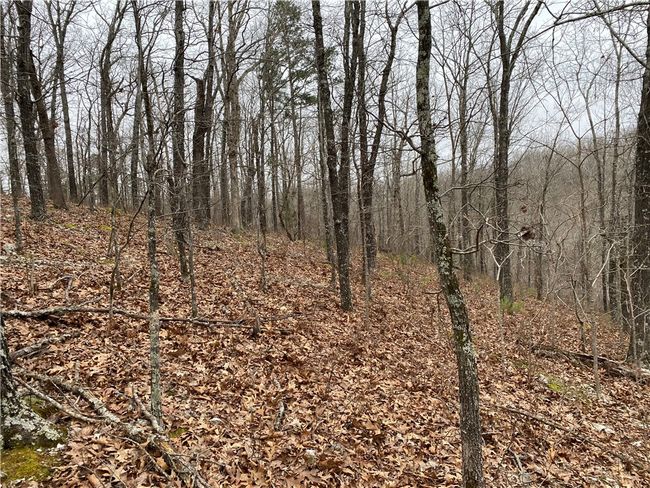 000 Holmes Rd, Home with 0 bedrooms, 0 bathrooms and null parking in Mountain View AR | Image 16