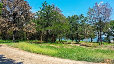 Beautiful mature trees | Image 3