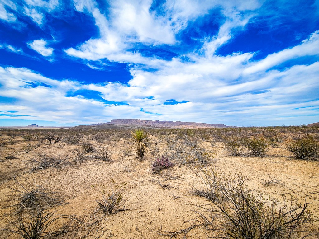 Land in Terlingua 5