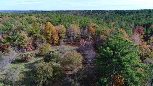 0 An County Road 448, Palestine, TX, 75803 | Card Image