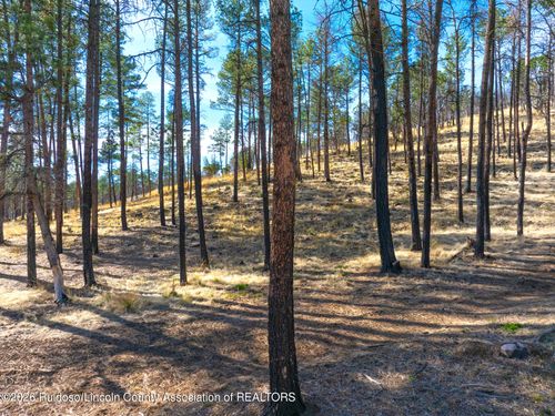 210 Deer Creek Rd, Ruidoso, NM, 88345-7308 | Card Image