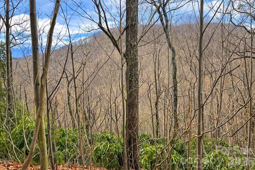 36-11 Majestic Overlook Way, Candler, NC, 28715 | Card Image