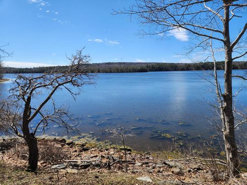 141 Gross Point Waterfront Road, Orland, ME, 04472 | Card Image