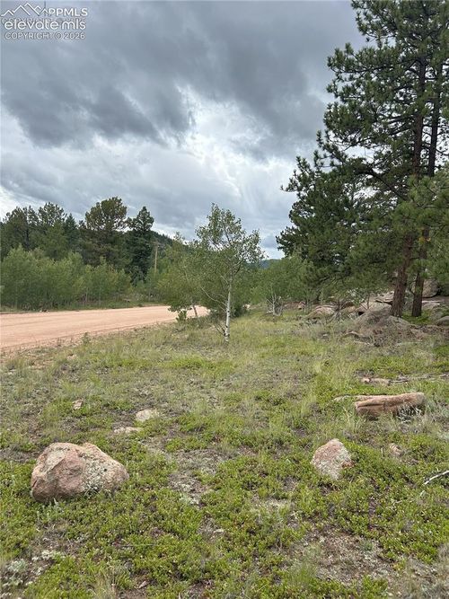 155 County Rd 403, Florissant, CO, 80816 | Card Image