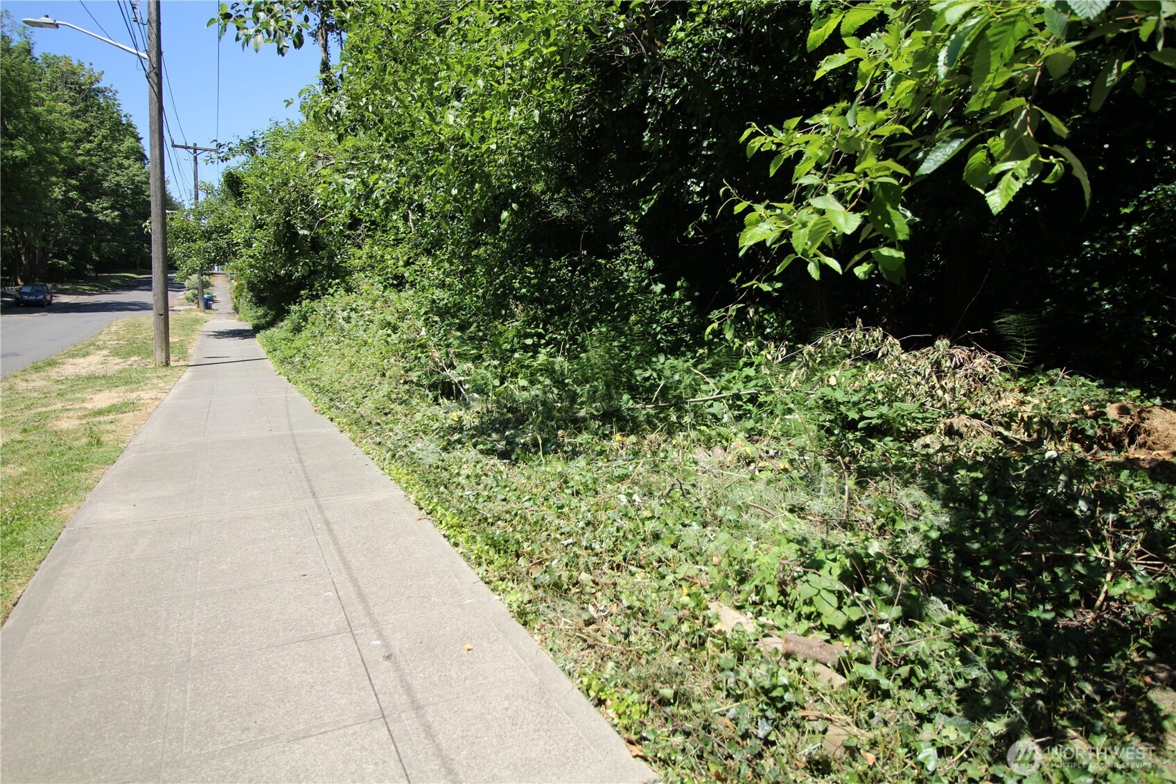 Land in Seattle