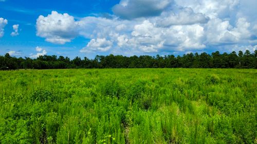 00 Highway 15 S, Saint George, SC, 29477 | Card Image